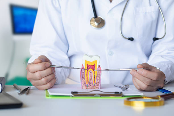 Best Urgent Care for Lost Fillings or Crowns in Denmark, WI